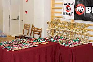 WKF Karate Magyar Bajnokság 2015 kép 4