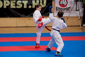 WKF Karate Diákolimpia 2015 kép 3