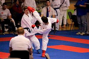 WKF Karate Diákolimpia 2015 kép 11