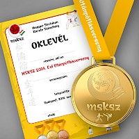 MSKSZ 2014. Évi Utánpótlásverseny kép 29
